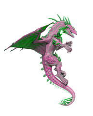 Obraz premium dragon is floating side view