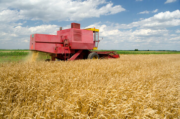 Plakat Combine harvester harvesting wheat in summer