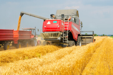 Combine harvester harvesting wheat on a sunny summer day