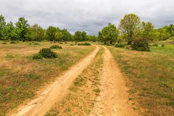 Fototapeta na wymiar Beautiful curved dirt road in spring forest of oaks and other species