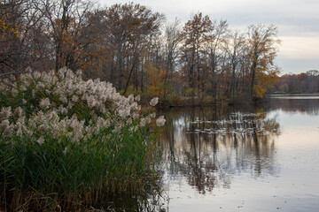 autumn in the park