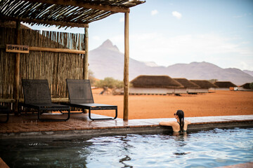 woman sitting in pool in red rock desert of namibia