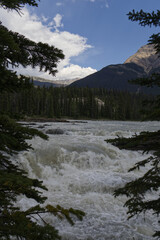 Fototapeta na wymiar Athabasca Falls in the Summer