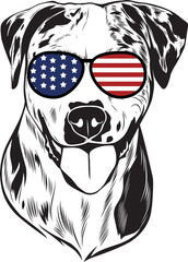 Catahoula Dog vector eps , Dog in Bandana, sunglasses, Fourth , 4th July vector eps, Patriotic, USA Dog, Cricut Silhouette Cut File