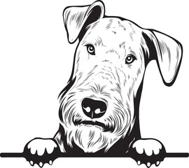Airedale Terrier Peek A Boo | Peekaboo | Peeking Dog Face vector eps