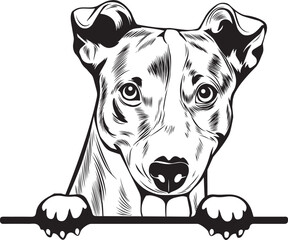 Jack Russel Terrier Peek A Boo | Peekaboo | Peeking Dog Face vector eps