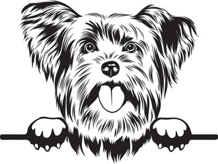 Yorkshire Terrier Peek A Boo | Peekaboo | Peeking Dog Face vector eps