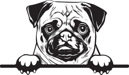 Pug Peek A Boo | Peekaboo | Peeking Dog Face vector eps