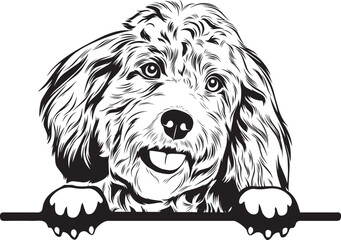 Cockapoo Peek A Boo | Peekaboo | Peeking Dog Face vector eps