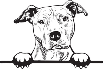American Pit Bull Terrier Peek A Boo | Peekaboo | Peeking Dog Face vector eps