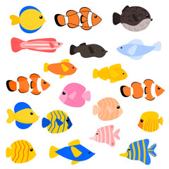 Various types of fish collection. Fish clipart set.