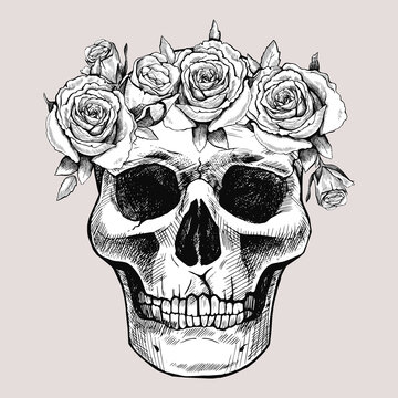 Hand drawn skull in a wreath of flowers. Vector graphic illustration. The day of the Dead.