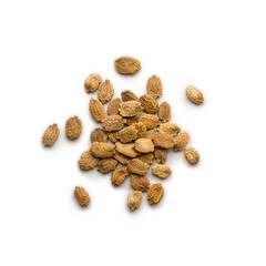 heap of bitter gourd or bitter melon seeds, momordica charantia, tropical and subtropical vine vegetable seeds isolated on white background