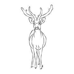 Illustration: Beautiful Brow-antlered deer image