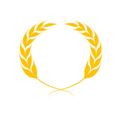 Ears of wheat. Whole grains for making bread.