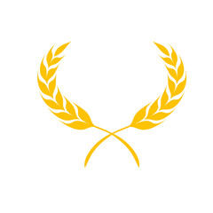 Ears of wheat. Whole grains for making bread.