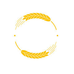 Ears of wheat. Whole grains for making bread.