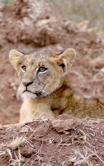 Kenya