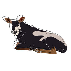 Illustration: Beautiful Chamois image