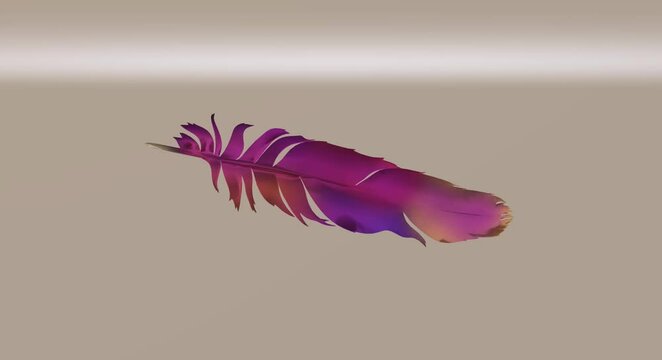 Metal feather animation video