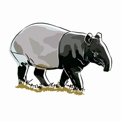 Illustration: Beautiful malayun tapir image