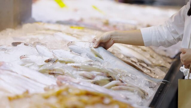 Fourfinger threadfin or Indian salmon fish lies on ice. Shop window with fish products. Woman shopping for fresh threadfin fish in supermarket standing looking at a display of fresh whole fish on ice