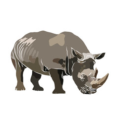 Illustration: Beautiful rhinoceros images