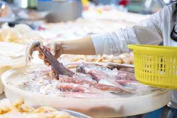 
Large fresh octopus or raw squid on ice in supermarket, Big fresh squid placed on stall for sale. Woman choosing large fresh squid and putting squid in yellow basket. 