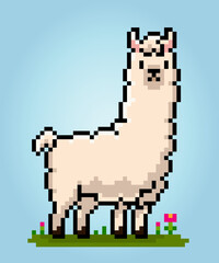 8-bit Pixel of llama. Animal pixels in vector Illustration for game asset.