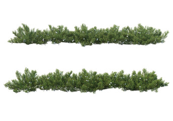 Shrubs and grass on a transparent background
