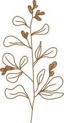 Leaf doodle transparency for decoration.
