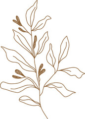 Leaf doodle transparency for decoration.