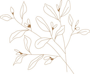 Leaf doodle transparency for decoration.