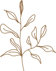 Leaf transparent for decoration.