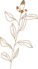 Leaf transparent for decoration.