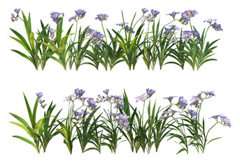 Fototapeta na wymiar Flowers on a transparent background 