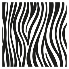 Black stripes on the skin of a zebra for decoration graphics