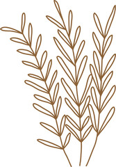 Flower transparent for decoration.