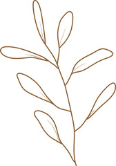 Leaf doodle transparency for decoration.	