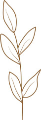 Leaf doodle transparency for decoration.	