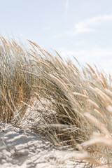 Fototapeta premium Familienurlaub Nordsee