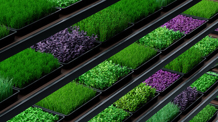 Indoor vertical farm. Spice and seasoning. Parsley, dill, basil, onion, rosemary, mint, thyme. Hydroponic microgreens plant factory. Led lights. 3d illustration. - obrazy, fototapety, plakaty