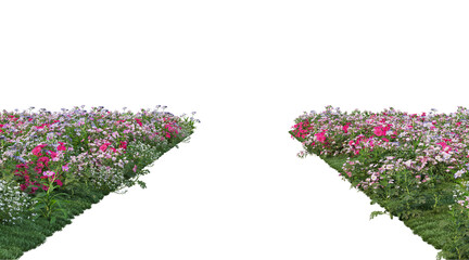 Flowers on a transparent background
