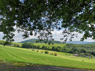 Landscape Trees Grass Nature Photo in NRW Sauerland Germany