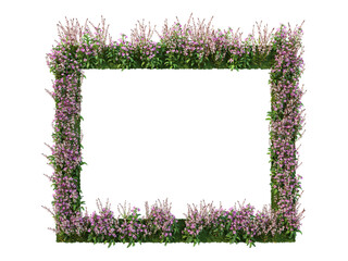 Flowers frame on a transparent background

