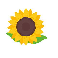 blooming yellow sunflowers full of sunflower seeds inside for decorating welcome cards