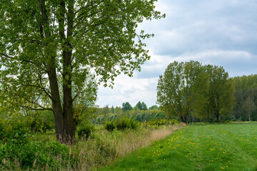 IJssel river landscape outside De Steeg in The Netherlands with trees, canals, and fields
