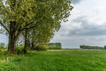 IJssel river landscape outside De Steeg in The Netherlands with trees, canals, and fields