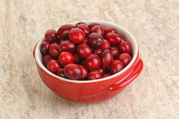 Ripe sweet tasty cranberry in the bowl