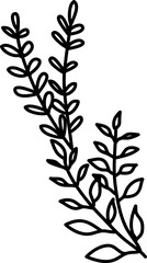 Leaf doodle transparency for decoration.